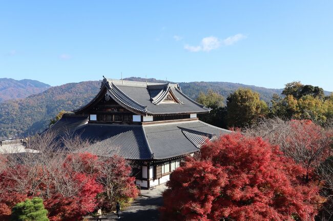 3日目は、かねてから行きたいと思っていた、将軍塚青龍殿へ。京都有数の絶景スポットです。<br />その後は、近くの南禅寺へ。混んでいるとわかっていましたが、やはり人が押し寄せていました。<br />南禅寺の金地院、天授庵、三門、方丈、水路閣と巡りました。<br /><br />☆1日目<br />京都駅→(taxi)→金戒光明寺→西尾八ツ橋の里(昼食)→重森三玲庭園美術館→吉田神社→(taxi)→ホテル<br /><br />夕食 末廣<br /><br />☆2日目<br />ホテル→祇園四条駅→(京阪本線)→出町柳駅→(叡山電鉄本線)→鞍馬駅→貴船神社→鳥居茶屋(昼食)→(京都バス)→貴船口駅→(叡山電鉄鞍馬線)→岩倉駅→岩倉実相院→(叡山電鉄)→出町柳駅→(京阪本線)→ホテル<br />ホテル→知恩院(ライトアップ)→京都牛懐石 稲吉(夕食)<br /><br />☆3日目<br />ホテル→(taxi)→将軍塚青龍殿→(京阪バス)→南禅寺(金地院、天授庵、三門、方丈、水路閣)→(taxi)→京都駅<br /><br />ホテル 三井ガーデンホテル京都河原町浄教寺<br /><br />〇紅葉・紅黄の京都①(1日目前半)☆金戒光明寺・重森三玲庭園美術館☆西尾八ツ橋の里☆2022/11/23<br />https://4travel.jp/travelogue/11794916<br /><br />〇紅葉・紅黄の京都②(1日目後半)☆吉田神社☆末廣☆2022/11/23<br />https://4travel.jp/travelogue/11795254<br /><br />〇紅葉・紅黄の京都③(2日目前半)☆鞍馬寺・貴船神社☆鳥居茶屋☆2022/11/24<br />https://4travel.jp/travelogue/11795622<br /><br />〇紅葉・紅黄の京都④(2日目後半)☆実相院門跡・知恩院 秋のライトアップ☆京都牛懐石 稲吉☆2022/11/24<br />https://4travel.jp/travelogue/11796349<br /><br />〇紅葉・紅黄の京都⑤(3日目)☆将軍塚青龍殿・南禅寺(金地院、天授庵、三門、方丈、水路閣)☆2022/11/25<br />https://4travel.jp/travelogue/11796641<br />