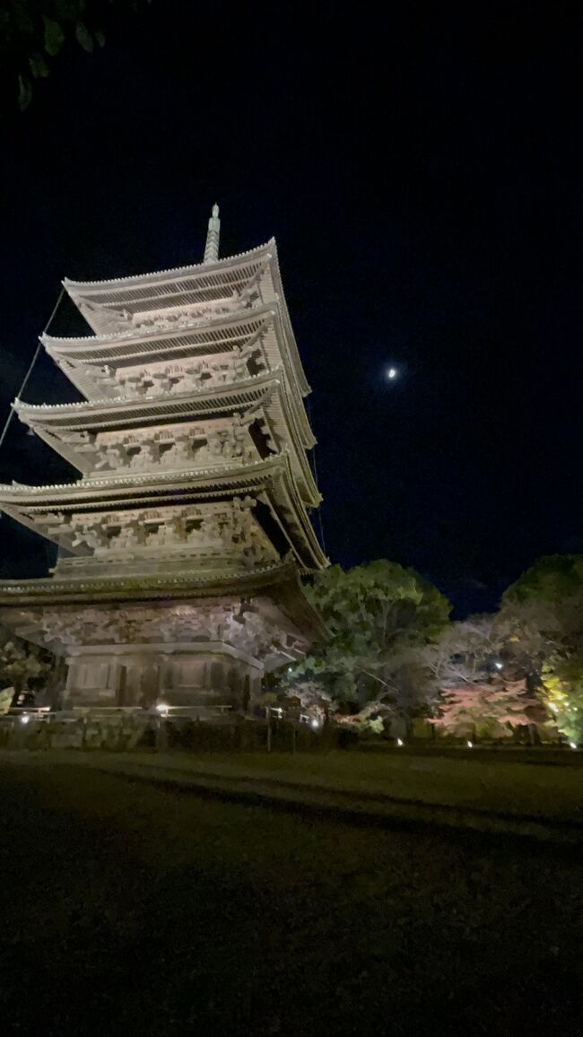 コロナ禍もあって親子旅を自粛していましたが旅行支援もあり、2年ぶりに旅にでました