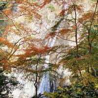 紅葉、山、滝、川、城址古刹 近畿紀行2022　-その3,加古川と神戸で滝を見る！