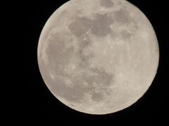 今年最後の満月(コールドムーン)を見ました。