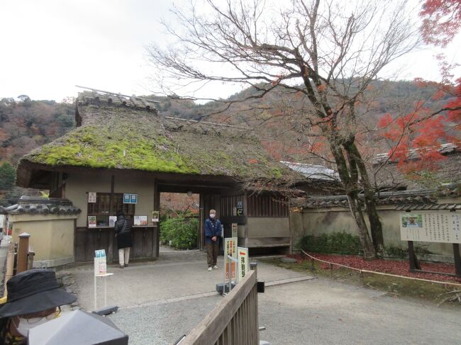 紅葉狩りと京都の秋の特別拝観を兼ねて嵐山近辺の宝厳院と弘源寺そして近辺寺などを散策することとした。<br /> 阪急電車の嵐山駅から渡月橋を渡り、車折神社の前を通り保津川に浮かぶ小舟を左に見ながら茅葺で屋根には草が生えている趣のある宝厳院入口へ。宝厳院では大変広い紅葉が全盛であれば美しいと思われる借景回遊式庭園である獅子吼の庭、そして宝厳院の本堂には田村能里子画伯による「風河燦燦三三自在」と題された襖絵五十八画を見学して宝厳院入口周辺にある「嵐山羅漢」を見ながら弘源寺へ向かった。<br />