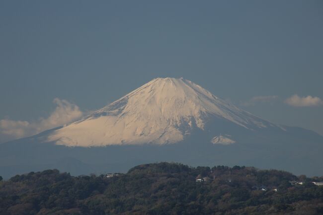 杉本寺・報国寺・一条恵観山荘を拝観し<br />報国寺の奥に有る巡礼古道をハイキングしました。<br />巡礼古道は坂東観音３３ヶ所の巡礼者が、第１番札所の杉本寺から<br />報国寺のある宅間ヶ谷を越えて第二番札所である逗子の岩殿寺を目指した道。<br />現在はハイランドから岩殿寺までの古道は消失しました。