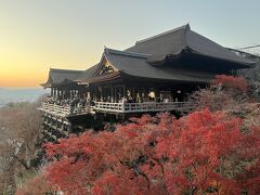 ひとり晩秋の京都旅