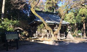 上野国寺社旧跡めぐり3、上野国九宮、意地と根性の四ノ宮めぐり