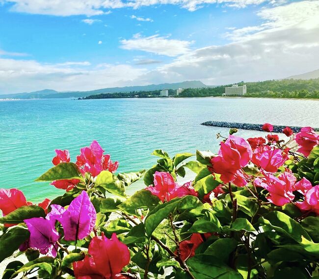 今回の沖縄旅は、気になっていたホテルに1泊ずつ宿泊してきました☆<br /><br /><ホテル><br />1泊目:ザ・テラスクラブアットブセナ<br /><br />2泊目:ザ・リッツカールトン沖縄<br /><br /><観光><br />1日目:キャプテンカンガルーでランチ→ナゴパイナップルパーク<br /><br />2日目:瀬底ビーチ→亜熱帯茶屋でランチ→<br />古宇利島オーシャンタワー→ハートロック<br /><br />3日目:果報バンタ→ウミカジテラスでランチ