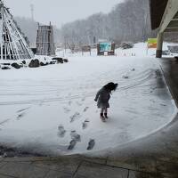 全国旅行支援で行く秋田は冬景色