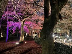 紅葉の残る十二月の京都