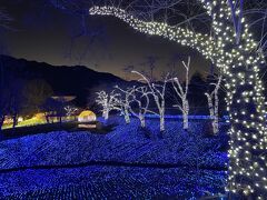 ワイナリー・ 富士山パノラマロープウェイ・さがみ湖イルミリオン　バスツアー