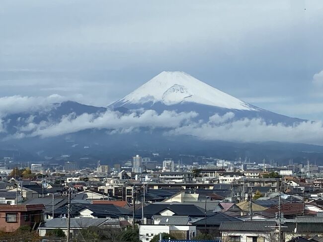 今週末は飛ばない週末。土曜日に子供たちと日帰りバスツアーに参加。平日に比べるとだいぶお得度が下がるけど、それでも普段よりはお得だし、子連れにバスツアーはなかなか楽チンでいい。今回は静岡へ、三島スカイウォーク、すき焼きランチ、ミカン狩り、野菜収穫体験（できなかったけど）、めんたいパークに行くプランが親子3人で実質13,470円。