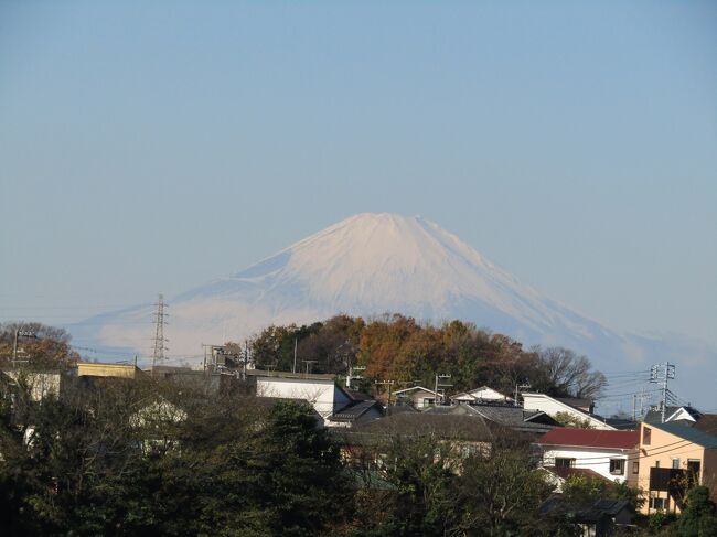　今朝は最初に富士山を見ようとJR北鎌倉駅の臨時改札口から雲頂庵へと上った。さすがに富士山が綺麗に見える。しかし、天気予報では明日の雨は富士山では雪になり、相当白くなるというのだ。今は南側の雪は消えかかっているが、それも明日からは真っ白くなるというのだ。<br />（表紙写真は雲頂庵前から見る富士山）