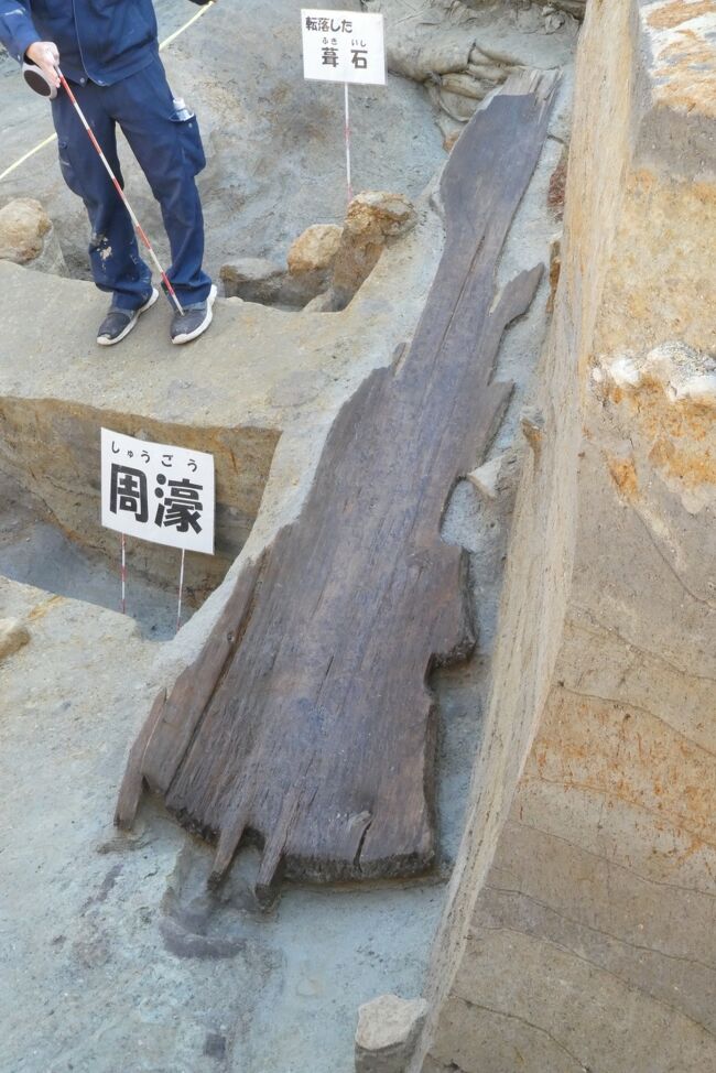 日本最大の木製埴輪出土in峯ヶ塚古墳　現地見学会