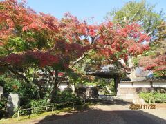 ＜潮来八景＞で知られた、源頼朝の創建と伝わる禅寺・長勝寺（ちょうしょうじ）も紅葉の季節だ。