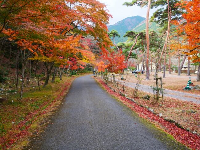 翌日は養老の滝へ。さすがに滝の水は飲めず、途中の神社の霊水をのむ