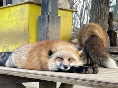 宮城割と白石割で鎌先温泉☆日本秘湯を守る会・最上屋旅館