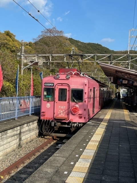 和歌山市駅で南海加太線に乗り換えて、加太駅に向かいます。加太駅からあわしま街道を歩いて、淡島神社を目指します。