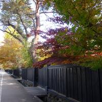 生まれかわりの旅、羽黒山、そして秋田角館へ