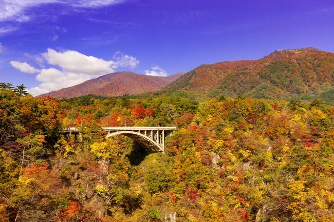 鬼首/鳴子/古川ぐるり旅、今回は紅葉時期の鳴子狭へ行ってきました。紅葉時期の鳴子狭は渋滞するという事前情報を踏まえて朝早くから鳴子狭へ。朝早めに鳴子狭レストハウスに到着して車を停めて散策しました。朝早めでしたがレストハウスの駐車場は混みあっていたため訪れる際は注意が必要です。レストハウス周辺からV字型の渓谷とオレンジ色に色付いた紅葉の絶景が広がっていました。カメラ片手の観光客が多数、中にはドローンを飛ばして撮影していた人もいました。周辺の散策路も行きましたが鳴子狭らしい景観とはいえず。やはりレストハウスからみるV字型の渓谷の景観がもっとも鳴子狭らしさを感じられる景色でした。<br /><br />□■□■□■□■□■□■□■□■□■□■□■□■□■□■□■<br /><br />【1】松島一の坊<br />https://4travel.jp/travelogue/10711559<br />【2】五大堂<br />https://4travel.jp/travelogue/10712116<br />【3】観蘭亭<br />https://4travel.jp/travelogue/10712228<br />【4】松島遊覧船<br />https://4travel.jp/travelogue/10713414<br />【5】瑞巌寺＆ずんだ餅＆利休<br />https://4travel.jp/travelogue/10713951<br />【6】圓通院<br />https://4travel.jp/travelogue/10714189<br />【7】鳴子狭（紅葉）<br />https://4travel.jp/travelogue/11797809<br />【8】潟沼<br />https://4travel.jp/travelogue/11799679<br />【9】秋保神社＆秋保大滝<br />https://4travel.jp/travelogue/11809539<br />【10】磊々峡<br />https://4travel.jp/travelogue/11811356