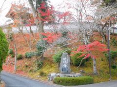 2022年12月　山陽小野田市　妙徳寺でまだ紅葉が見られました。