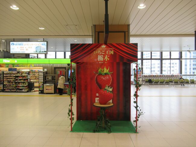 東北旅行とバスケ観戦の旅