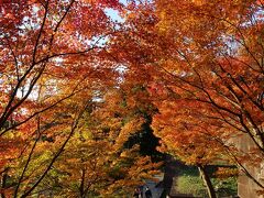 金沢　一泊二日　おっさん三人旅