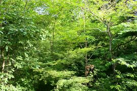 夏の軽井沢バカンス♪　Vol.5 ☆レジーナリゾート旧軽井沢：スイートルームから朝風景♪