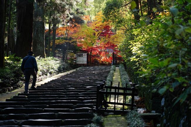 歴史溢れるみちのくへ【２】～陸奥一宮と多賀城跡、そして仙台～