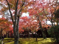 箱根２０２２紅葉　【２】箱根美術館