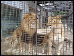 いつもの老神温泉。さざえ堂、吹割の滝に無料の動物園。