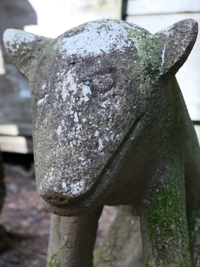 今年の1月に秩父に行った。<br />https://4travel.jp/travelogue/11738357<br /><br />宝登山神社と三峯神社には大勢のオオカミが鎮座。<br />そこでふと思い出した。<br />秩父地方は『オイヌ様(＝狼)信仰』が盛んな地だが、奥多摩の大岳神社も山犬信仰で「狛狼」だったはず…<br />これは再訪するしかあるまい。<br /><br />と目論んでからあっという間に10ヶ月、今年もいよいよなんて声も聞こえ始め、大いに焦る。<br />日程やりくりして、とある日曜日に決行！<br />11年ぶりの再会となった。