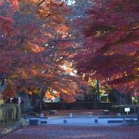 晩秋の栃木路で紅葉巡り