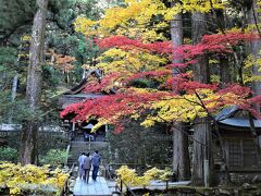 駒ヶ根高原の素晴らしい紅葉2022～南アルプスの眺望と光前寺～（長野）
