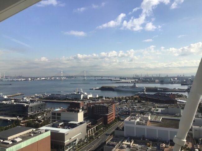 所用で横浜に行った。半日あいたので新港に行ってみた。<br />都市型ロープーウェイというエアキャビンに乗ること、海上保安庁資料館を見学することがメインだ。<br />