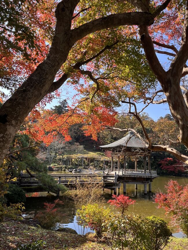 気軽に行ける紅葉穴場スポット&#127809;