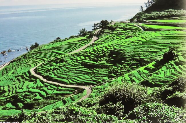 旅は一枚の写真からといいますが、富山の「雨晴海岸」能登の「白米千枚田」の絶景に魅了され、いつかは訪れてみたいと思っていました。「全国旅行支援」も背中を押し北陸の旅に出かけることとしました。ツアーを調べてみると「奥能登のブランド食材含む6食付き9名所をめぐるはじめての能登半島3日間」というツアーがあることを知り参加する事としました。食を銘打ったツアー参加は初めてで、楽しみも倍加しました。<br />訪れる所は「總持寺祖院」「白米千枚田」「輪島」「奥能登塩田村」「珠洲岬の青の洞窟」「見附島」「のと鉄道」「羽咋の厳門」「千里浜」「雨晴海岸」です。<br />そして食は「のどぐろ」「香箱カニ」「フグ料理」「牡蠣料理」「能登牛」です。