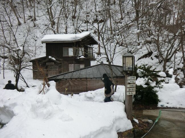 酸ヶ湯温泉に3泊不老ふ死温泉に3泊して浅虫温泉、東北温泉、百沢温泉、大鰐温泉、青荷温泉、大潟モール温泉、打当温泉<br />強首温泉、乳頭温泉を楽しむたび<br />