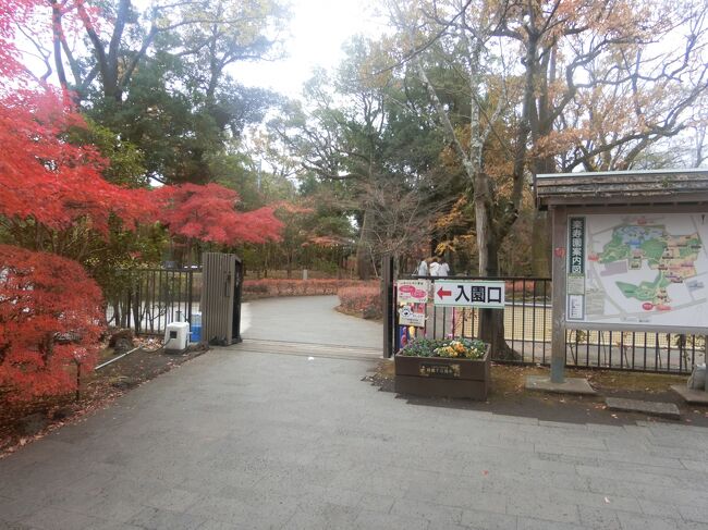 一度訪れたかった富士山三島東急ホテルの最上階でのランチ。<br />コロナ禍オープンしたホテルですが、なかなか機会がなかったのですが、今回初めて伺いました。<br />朝、東名高速を下っている時は、富士山の上に傘雲が見えていたのですが、三島に到着したら生憎の曇天。<br />レストランからの景色は箱根山や愛鷹山は見えたものの、富士山は見えませんでした。<br />でも、美味しいランチを堪能しました。<br />リピありですね。<br /><br />そのあとは目の前の三島市立公園 楽寿園へ。<br />