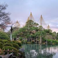 弾丸金沢。朝の兼六園だけ