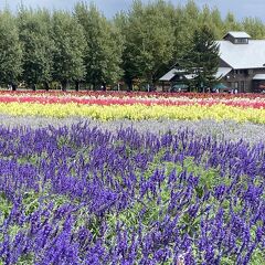 【弾丸】秋の北国 格安贅沢旅 \ 東京~帯広 /