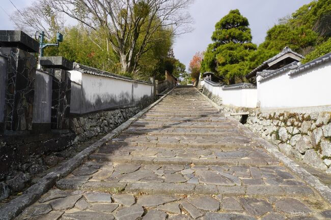 旅の五日目の今日は、別府を離れて杵築と日出を回ります。大分県内の市でいうと杵築市と津久見市は行ったことがないのですが、津久見市はどう考えても興味がわかないので、実質的には杵築市が最後のピース。杵築の中心部へは杵築駅からバスになるというアクセスの悪さもあって、これまでなかなか踏ん切りがつかなかったんですよね。<br /><br />そういうこともあって、杵築は城下町だということくらいしか知識はありませんでしたが、今回事前に調べてみると全然それだけではないですね。<br />まずは、例によって杵築藩のことですが、杵築藩の祖は小倉藩三代藩主、小笠原忠真の弟、小笠原忠知。加藤清正の三男、加藤忠広の代となっていた熊本藩が改易になるとその後に入封したのは小倉藩の細川氏。その小倉藩の後に播磨明石藩から移封されたのが小笠原忠真。杵築に忠知が封じられたのもこの時です。ただ、忠知は島原の乱への出陣等で功をあげ三河国吉田藩に加増転封。代わって、入ったのが能見松平家の松平英親。以降は幕末まで、この能見松平家は存続することとなります。ただ、松平英親の父、松平重直も忠知と同じく、小笠原忠真の弟。小笠原家から能見松平家へ養子で入って松平重直となったという関係なので、小倉の小笠原家とは引き続き、血縁の関係が続きます。ところで、そもそも小笠原家のことですが、もともとは信濃の守護だった家柄。しかし、武田信玄にその地を追われ、再興を目論んで家康に近づいたのが小笠原忠真の父、秀政。その後、秀吉の対家康政略の一環もあって、家康の嫡男、信康の長女、登久姫を娶ることに。ただ、大坂夏の陣では激戦の天王寺岡山の戦いで家康のひ孫でもあった長男忠脩とともに討ち死。しかし、このことは家康への大きな忠義の証となる。小笠原家が徳川幕府の九州対策の要となって小倉入りしたのは、堂々たる血縁と実績があったうえでのことなのですね。つまり、松平氏の庶流、能見松平家であり、そうした小笠原家にもつながる杵築藩。幕末まで、波風が立たなかったのも頷けるような気がします。<br /><br />少し長くなりましたが、二つ目のポイントは城下町の地形です。武家屋敷が並ぶのは北台と南台という二つの馬の背のような丘の上であり、町人の住むのはそのふもと。ということで、その二つの馬の背を結ぶ坂がいくつもあって、番所の坂、酢屋の坂、飴屋の坂、志保屋の坂に岩鼻の坂、勘定場の坂などなど。今でも地元の人が普通に往来する坂であり、そのアップダウンの眺めは、ほかに比較するものがないくらい独特です。街の近代化は平地の方で進められ、武家屋敷が継承された台地の方はそうした開発が及ばなかっただけとも考えられますが、結果的には貴重な歴史の遺産が残ったいう評価もできるのではないかと思います。<br /><br />そして、後半は日出。豊臣秀吉の正室、ねねの兄、木下家定の三男である木下延俊を祖とする日出藩の城下町。なお、同じ木下家の系譜だと岡山に木下家定の二男である木下利房を祖とする足守藩もあって、ともに幕末まで存続しています。杵築藩の4万石に対して日出藩は2万5千石。少し小さいですが、海に臨んだ城跡とかを拝見すると2万5千石にしては石垣とかなかなか雄大な構え。跡には中学校や小学校が建っていたり、周囲もかなりよく整備されて城下町の面影が濃いですね。有名な城下かれいや的山荘もちょっとハイクラスの文化的な香りがして、これも少なからず日出藩の歴史の賜物なのかなという気もします。<br />　<br />一日で両方を回ったことで、この日も押せ押せの旅となりましたが、大きく見れば近いエリア。まとめて回るのはまあなくはないなという感じです。