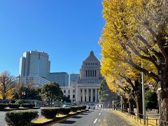 紅葉の半蔵門を散策