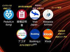 2022 まうまう流バリ島攻略 出入国アプリ