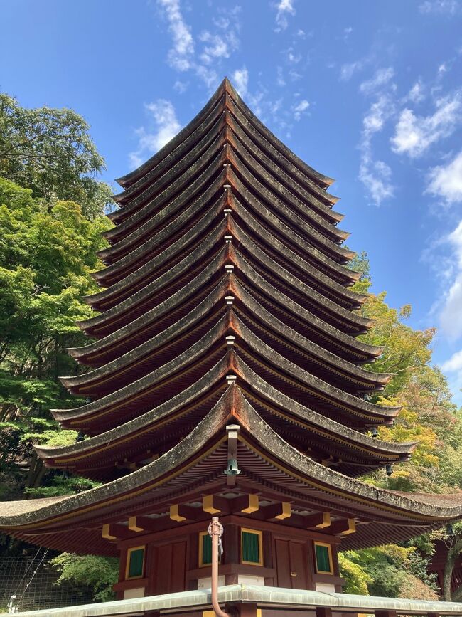 私が学生時代を過ごした奈良を訪ねる旅。<br />Ver.1は、私の小・中・高校を訪ねた青春時代の想い出巡り。<br />Ver.2では、吉野山の散策と吉野荘湯川屋の宿泊記。<br />そして最後　Ver.3は談山神社から安倍文殊院です。<br />私、奈良県に20年暮らしていましたが、初めての訪問となります。<br /><br />吉野山の散策を終え、昼前に出発し談山神社に向かいます。<br />車なら30分一寸で移動できたのは驚きでしたが、バス等の公共交通機関では、移動に桜井廻りで3時間弱かかるようです。<br /><br />私の高校時代は、吉野町ですが結構山の中にある滝畑、国栖（ゆりやんレトリィバァさんの出身地）、三茶屋や隣町の大宇陀町からバスで通学してきた人もいましたが、今はどうなんでしょうかね。<br /><br />吉野町は奈良県の中部という分類なのですが、属している吉野郡は奈良県の60％以上を占める大きな区域で、こちらが南部となるのでしょうが、殆どが山林ですので人口密度17.1人/km2と少ないですが、自然豊かな修験道の修行地でもあります。<br />奈良観光というと、どうしても北部の平野部が中心となるようですが、少々不便でも車を上手に利用すれば凄く便利になっています。<br />是非吉野地方に足を運んで欲しい、と思います。<br /><br />表紙は有名な談山神社の十三重塔です。