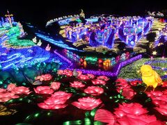 クリスマス前週の伊豆レッサーパンダ遠征（７）伊豆ぐらんぱる公園グランイルミ：海の世界とトロピカルと宝島の宝石と薔薇のランタンの光あふれる世界