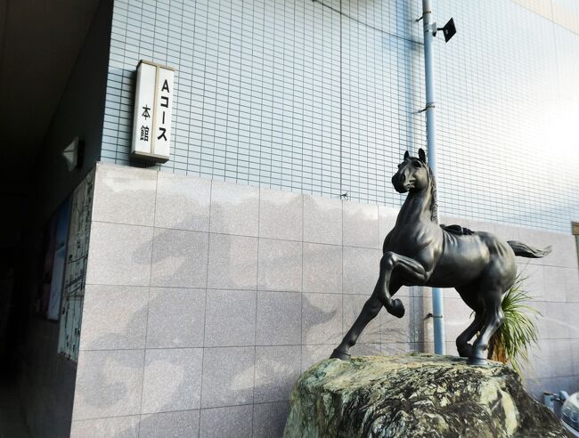 12月15日にアドベンチャーワールドのパンダ3頭が中国に行ってしまうというニュースを見ました。<br /><br />んん?うそっ、永明まで行っちゃうの???<br />やだよぅ。やーだーよーぅぅ!!!<br /><br />って小市民が叫んでもどうにもならん。<br />なら、最後に3頭にもう一度会いたい。もちろん、愛する楓浜にも。<br />ってことで行ってきました、白浜に。<br /><br />難波~白浜 高速バス 5900円。(往復)<br />民宿Aコース(朝夕込) 5957円。<br />アドベンチャーワールドイベント割 3840円。<br />計15697円。<br /><br />旅行支援クーポン-3000円。<br /><br />計12697円。<br /><br />ありがたい。