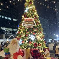 ぐーたらにゃんこの国内旅行記：おばちゃんず 　仙台・松島の旅　１～雪のクリスマスイルミネーション?　