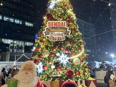 ぐーたらにゃんこの国内旅行記：おばちゃんず 　仙台・松島の旅　１～雪のクリスマスイルミネーション?　
