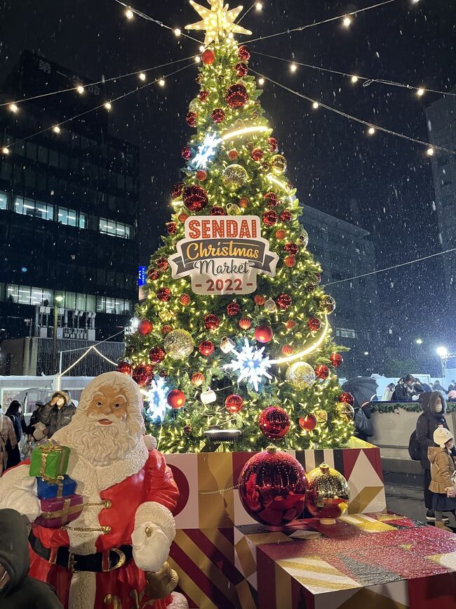 ぐーたらにゃんこの国内旅行記：おばちゃんず 　仙台・松島の旅　１～雪のクリスマスイルミネーション?　