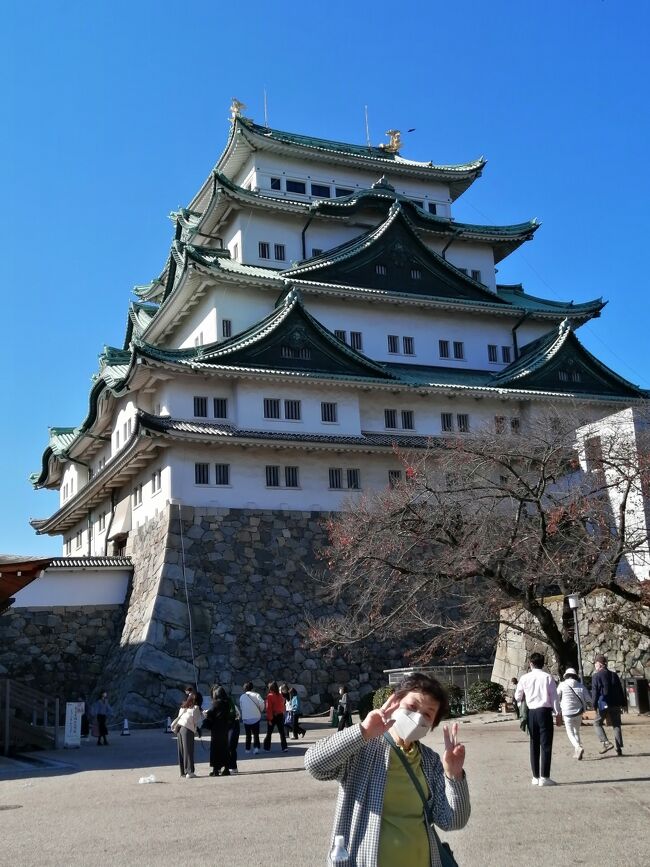 11月24日　快晴の名古屋観光　<br />午前中の東山植物園の紅葉を満喫した2人は、定番観光名古屋城と徳川園へ<br /><br />有名観光地移動はメーグル利用してみると、地下鉄と違い上下移動がなく、歩く距離が短い。景色をみることができるので、母も大喜び。<br />バス、地下鉄全線1日乗車券提示でメーグルは乗ること可能<br />施設入場券割引も有りとてもお得です。<br /><br />そういえばシンガポールでもez-linkカードを使い、路線バスで移動していた2人組です。まだ2年後までの期限でチャージした10ドル分カードに残金あります。もう1回シンガポールにも行かなくっちゃ。<br /><br />京都と迷った旅行ですが、<br />雨の23日の観光とベタな観光地は24日の平日に予定変更して<br />名古屋はとても空いていてゆったり観光できて大満足。<br />今回は全国旅行支援を利用してとてもお得に楽しめた旅行です。<br /><br />元気な母の笑顔をみていると「最後のお願い連れてって」はまだまだ続きそうです。