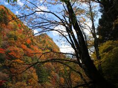 ’２２天川村の紅葉を求めて