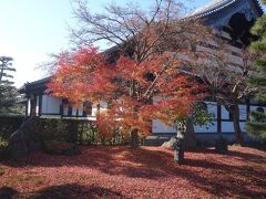 散紅葉に期待して、東福寺へ。人出は少なくなったかな。